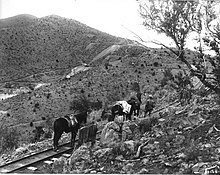 Narrow-gauge railroad to the mines at Pinos Altos Pinos Altos RR.jpg