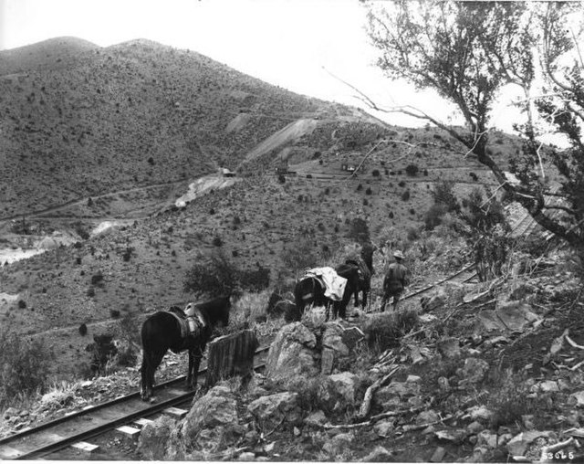 Narrow-gauge railroad to the mines at Pinos Altos