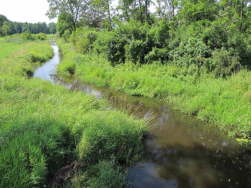 File:Podlaskie - Wyszki - Strabla - Most - Strabelka.JPG