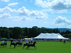 Polo Im Vereinigten Königreich: Geschichte, Spieler, Teams