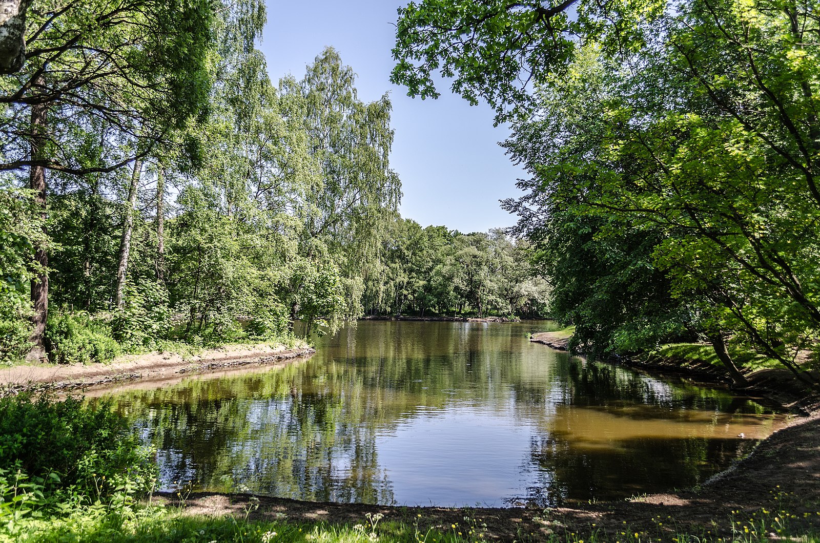 Парк им кирова в санкт петербурге