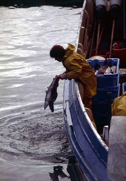 File:Portpatrick-18-Fischerin spuelt Fische-1989-gje.jpg