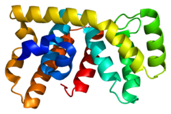 Ақуыз ARHGEF11 PDB 1htj.png