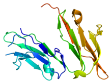 Protein FCER1A PDB 1f2q.png