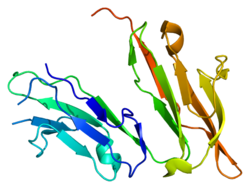 Ақуыз FCER1A PDB 1f2q.png