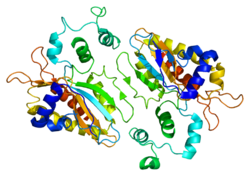 חלבון ITPKA PDB 1tzd.png