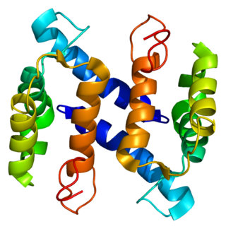 <span class="mw-page-title-main">Protein S100-A4</span> Protein-coding gene in the species Homo sapiens
