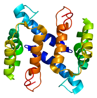 <span class="mw-page-title-main">Protein S100-A4</span>