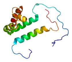 Ақуыз SF3A3 PDB 2dt7.png