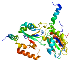 Protein SF3B1 PDB 2f9d.png