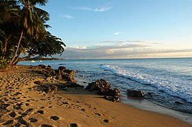 Rincón (Porto Rico)