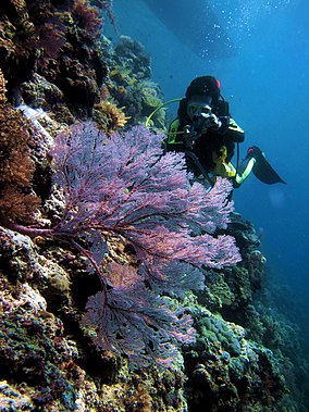 Pulau Latondu kecil.jpg