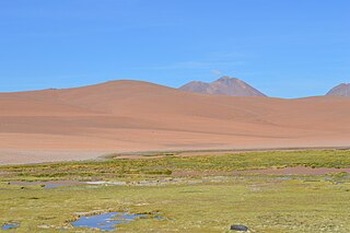 <span class="mw-page-title-main">Bofedales</span> Type of wetland in the Andes