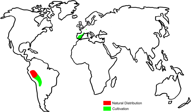 File:Quinoa Distribution.png