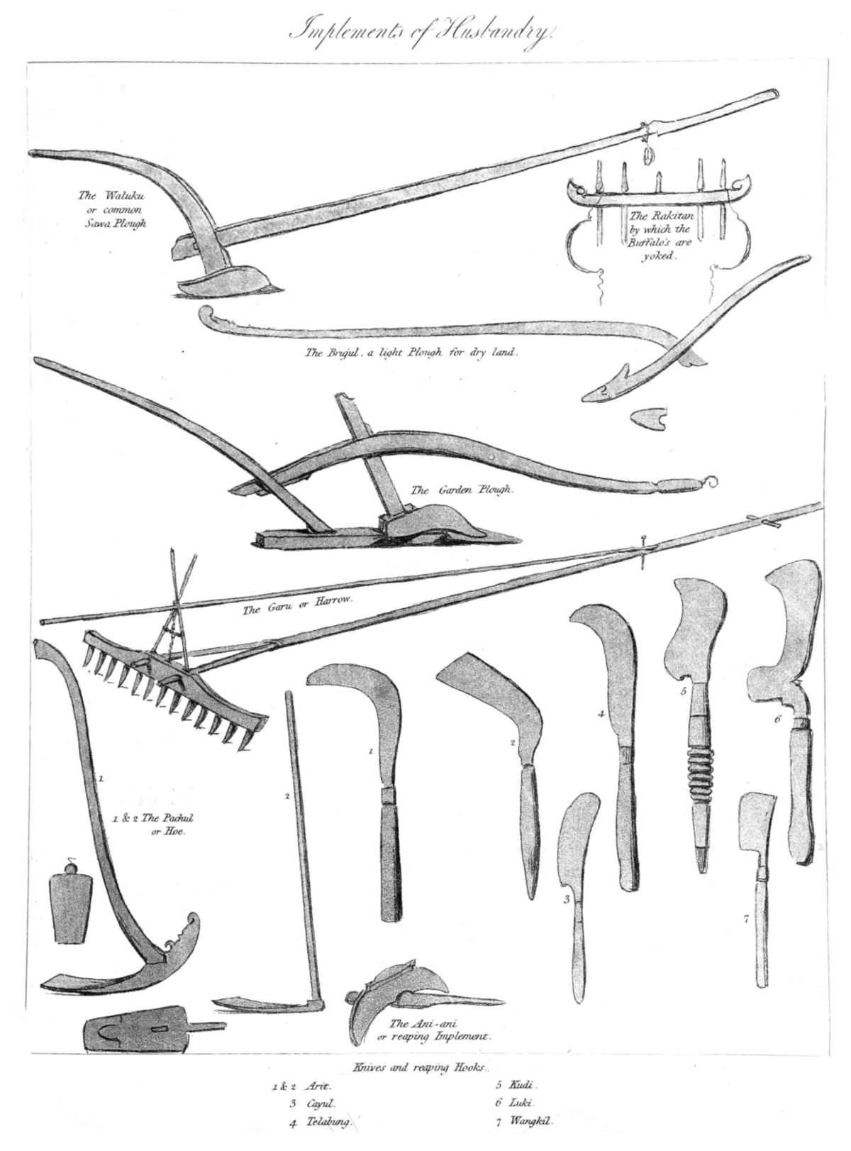 Set Farm Tools and Agriculture. Truck, Beehive, Garden Tools, Shovel,  Wheelbarrow, Saw, Watering Can, Axe, Rooster Stock Vector - Illustration of  farm, sketch: 253097634