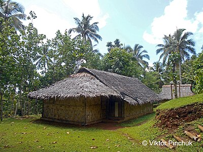 Domo sur Pentekosta Insulo (Vanuatuo)