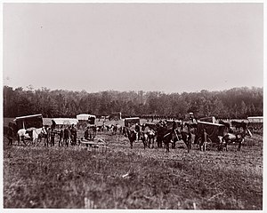 Removing Dead from Battlefield, Marye's Heights, May 2, 1864