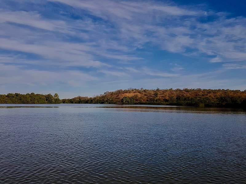 File:RiverGambia Janjanbureh 20190122 Upstream.jpg