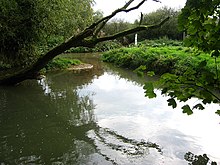 The Eye near Coston. River Eye, Coston Leicestershire - geograph.org.uk - 68911.jpg