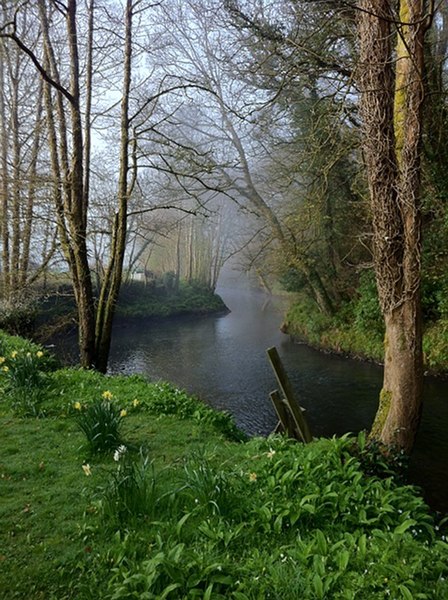 File:River Lyd below Lifton Bridge - geograph.org.uk - 3457361.jpg