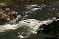 Rogue River (Oregon)