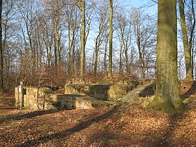 Reste der Burg Rodenberg