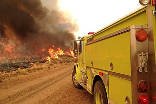 <span class="mw-page-title-main">Rush Fire</span> 2012 wildfire in California and Nevada