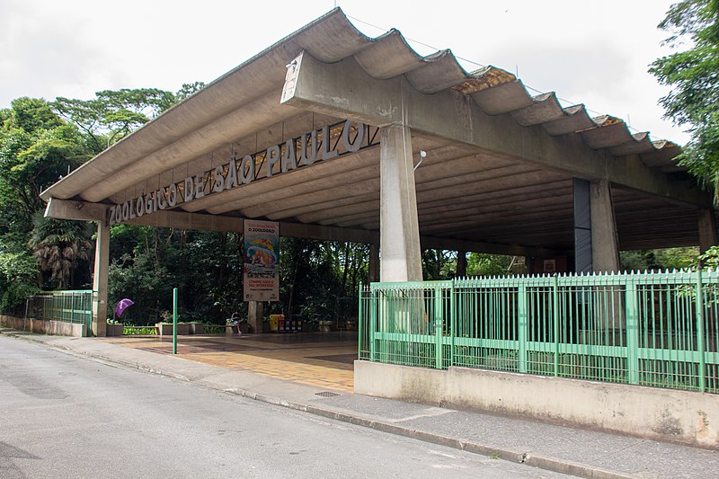 File:São Paulo Zoo 2018 190.jpg