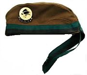 SWATF 31 Battalion bonnie cap.jpg