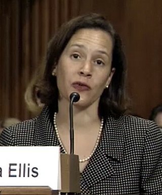 <span class="mw-page-title-main">Sara L. Ellis</span> American judge (born 1969)