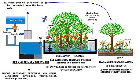 Constructed wetland for wastewater (→ en-Wp article, de-Wp: Pflanzenkläranlage)