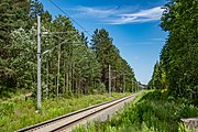 English: Sciklieva republican biological reserve and the railroad going through. Minsk, Belarus Беларуская: Рэспубліканскі біялагічны заказнік Сціклева і чыгуначная лінія Калодзішчы—Шабаны—Гатава/Міханавічы. Мінск, Беларусь Русский: Республиканский биологический заказник Стиклево и железнодорожная линия Колодищи—Шабаны—Гатово/Михановичи. Минск, Беларусь