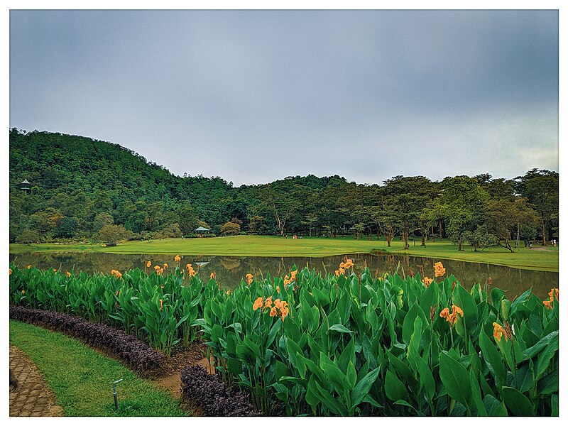 File:Seethawaka Botanical Garden flowers view.jpg