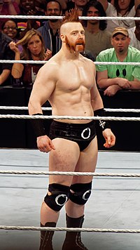 Sheamus March 2015.jpg