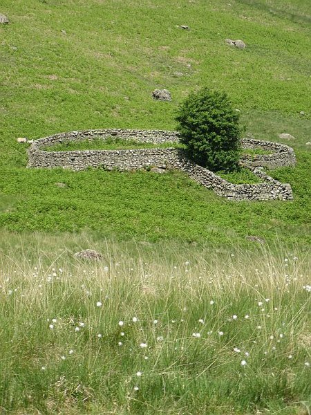 File:Sheep fank, Chanlock Burn - geograph.org.uk - 463393.jpg