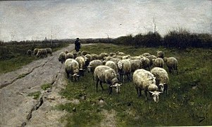 Sheep on the moor.jpg