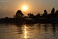 Shikara at sunset