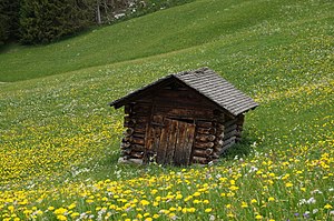 Flora Und Vegetation Des Fürstentums Liechtenstein: Naturraum des Fürstentum Liechtenstein, Pflanzengesellschaften, Naturschutz