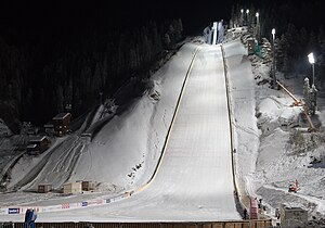 Ski flying Vikersund 2011.jpg