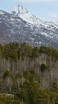 Skjomtinden (1,575 m), May 2009