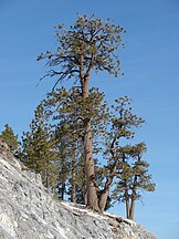 Nevada, Las Vegas Ski and Snowboard Resort