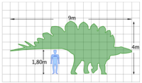 Žmogaus ir stegozauro palyginimas