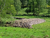 Svenska: Stenmurslandskapet i Väsmestorp, Väsmestorps naturreservat. Maj 2023.