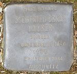 Stumbling Stone Offenburg Siegfried Oskar Hauser.jpg