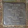 Stolperstein für Luise Oppenheimer