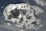 Stratocumulus cumulogenitus - 20150804 16h39 (10909).jpg