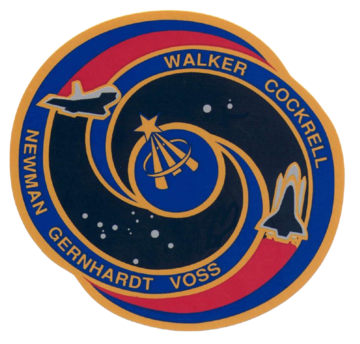 File:Sts-69-patch.png