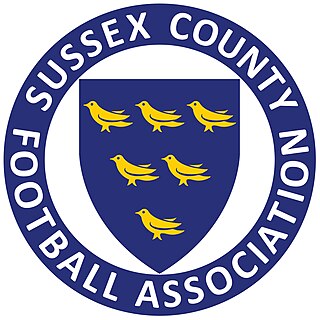 <span class="mw-page-title-main">Sussex County Football Association</span>