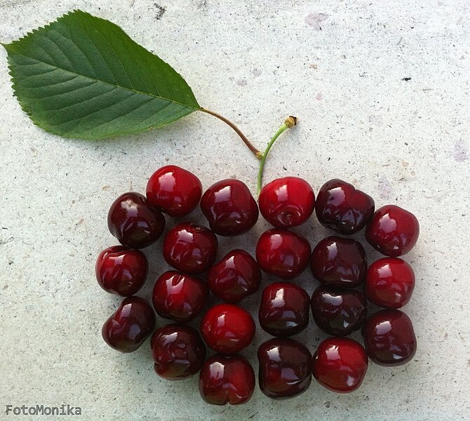 File:Sweet Cherry (24801189).jpeg