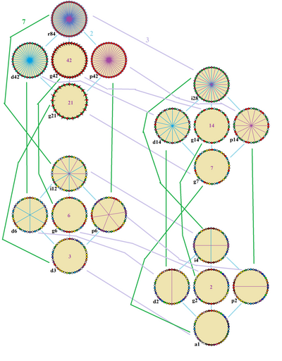 Tetracontadigon.png simetrileri